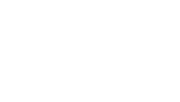 Lao inc.